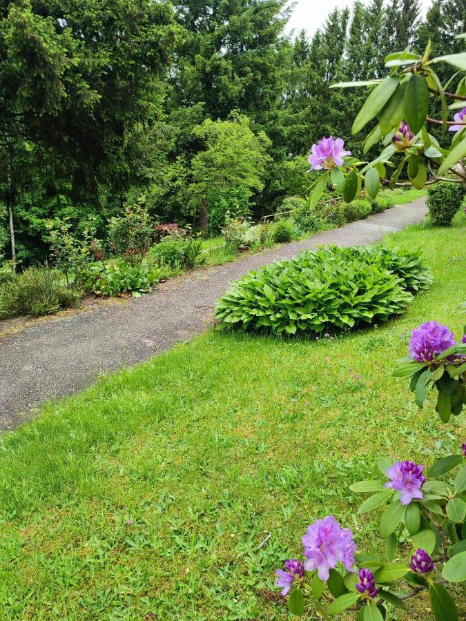Gemuetliches Studio Mit Ausblick, Pool Und Wifi Apartamento Baiersbronn Exterior foto